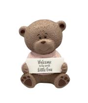 Teddy Bear Moments: Welcome Little One - Pink (TM7560)