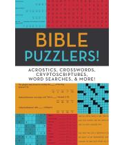 Bible Puzzlers! (9781636090313)